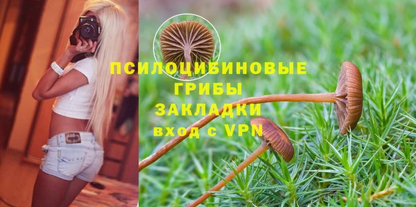круглые Лагань