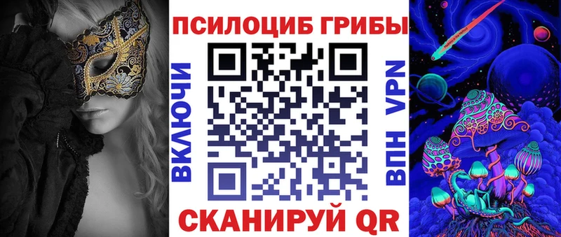 Псилоцибиновые грибы Psilocybine cubensis Купить где Богородск